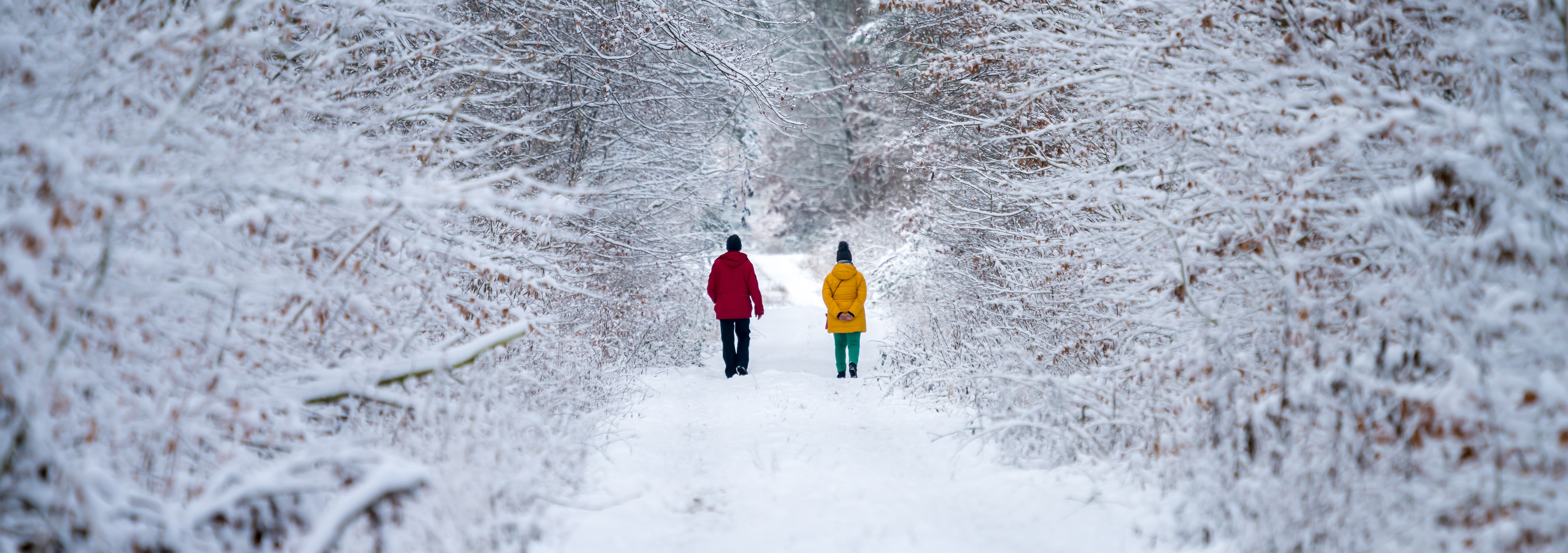Bewegung gegen den Winter Blues: 